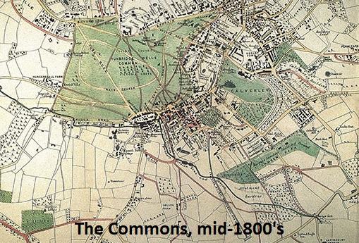 Tunbridge Wells - Lower Ground - Nevill : Image credit Tunbridge Wells Commons Conservators
